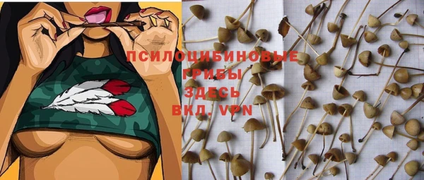 каннабис Алзамай