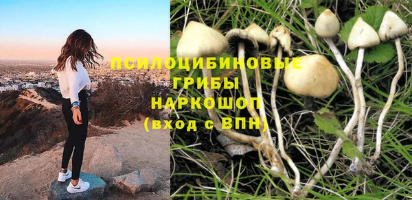 a pvp Лиски
