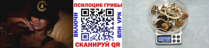 Галлюциногенные грибы ЛСД  кракен как зайти  Динская 